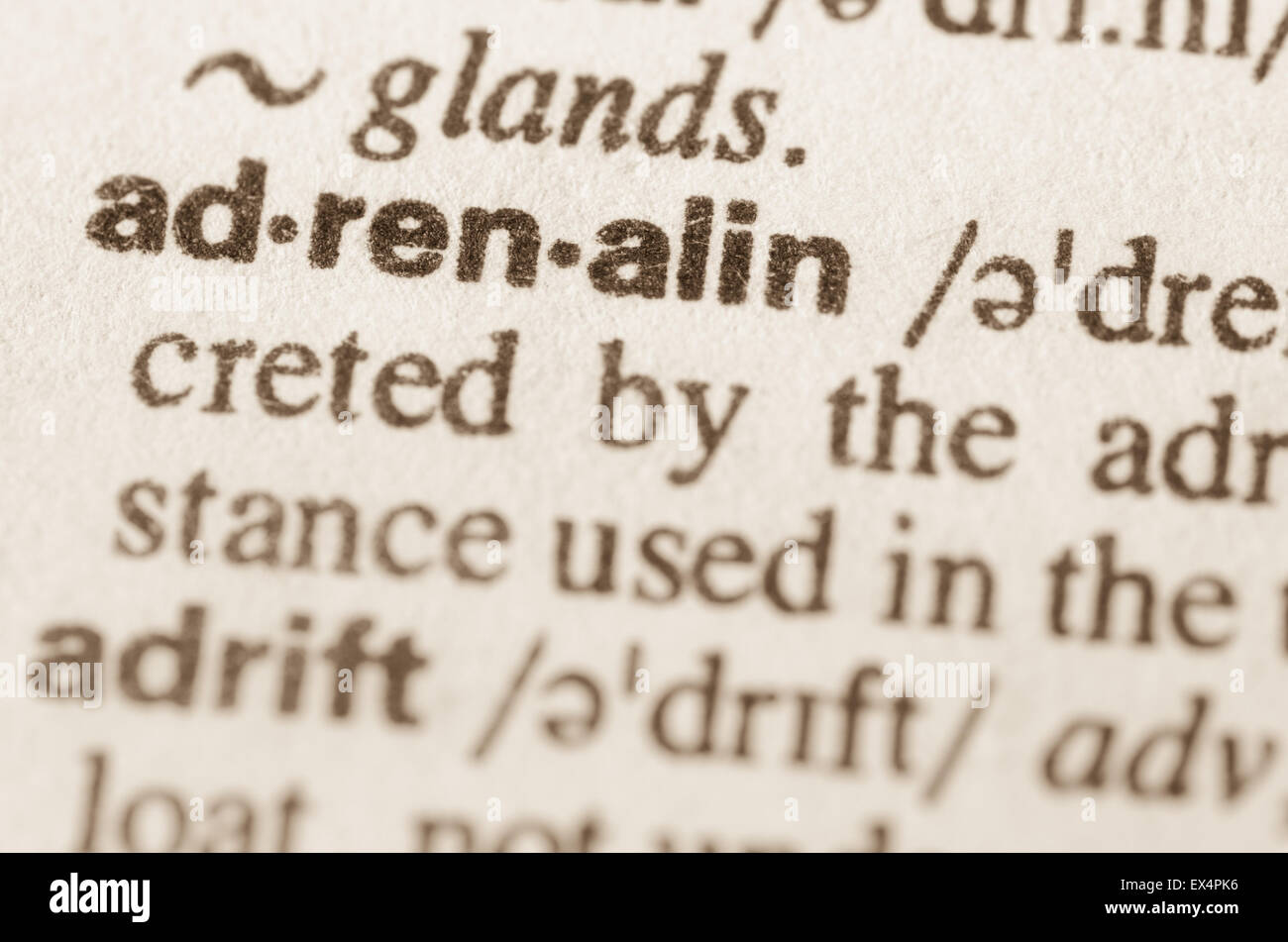 Definición de la palabra adrenalina en el diccionario. Foto de stock