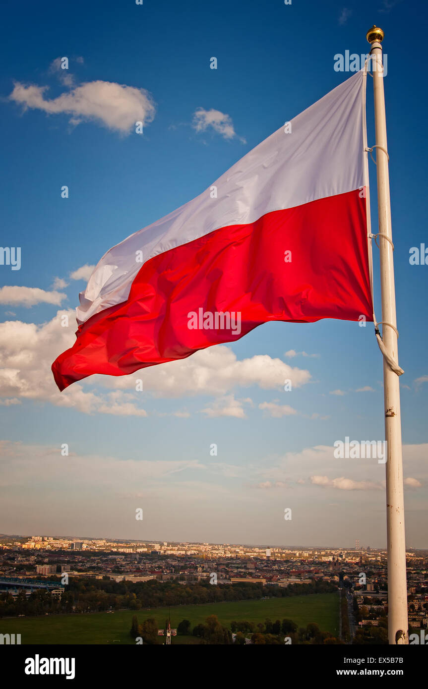 Bandera polaca Foto de stock