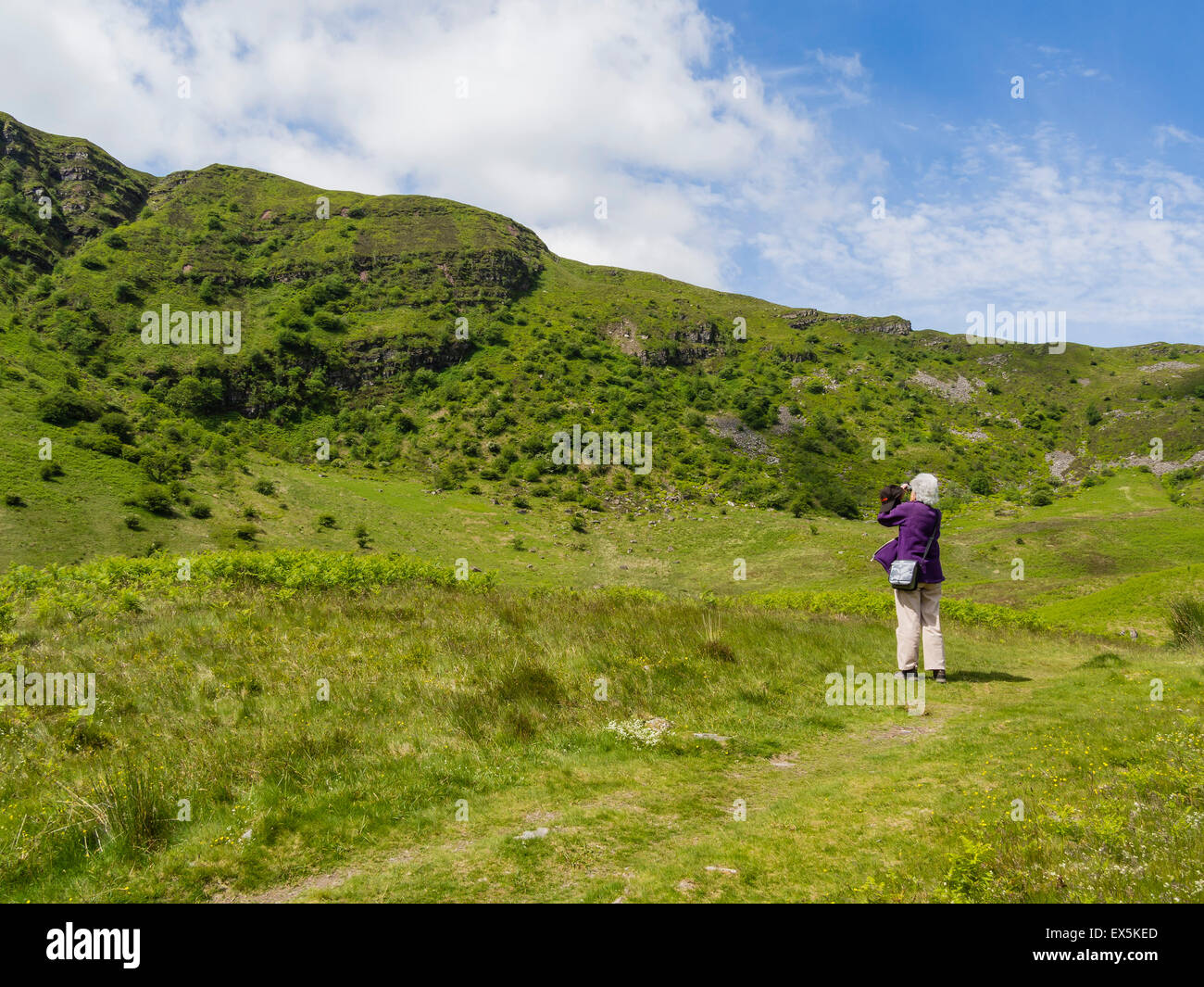 Hembra la observación de aves en el Parque Nacional de Brecon Beacons, Powys, Gales, Reino Unido Foto de stock