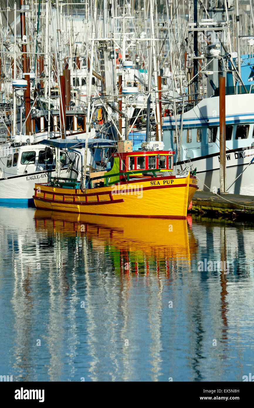 Barcos de pesca, puerto de Newport, Oregon, EE.UU. Foto de stock