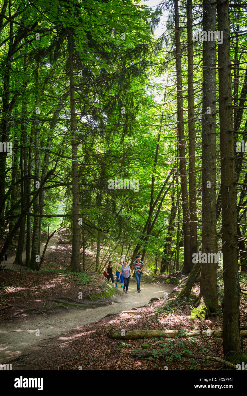 Parque Nacional de los Lagos de Plitvice, Lika-Senj County & Karlovac County, Croacia. Los visitantes pasear por senderos de tierra en el parque. Foto de stock