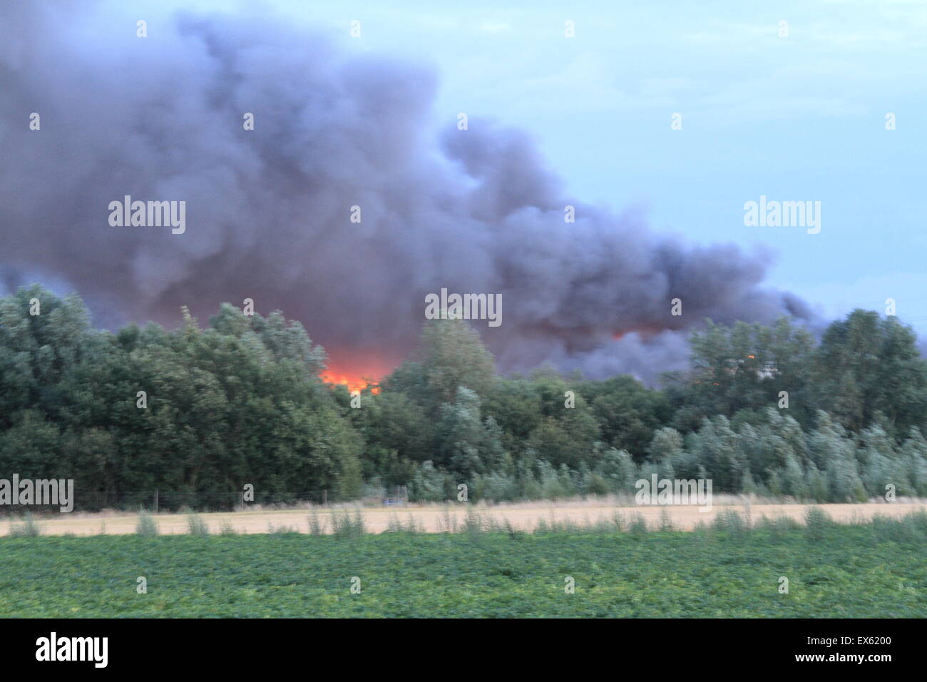 Rainham, Londres, Reino Unido. Martes, 7 de julio de 2015. Más de 80 bomberos abordar blaze en un astillero de palets en Rainham. 12 bomberos de tres bomberos fueron llamados a la escena alrededor de las 8:00pm el martes por la noche. Kent y Essex, bomberos y servicios de rescate fueron llamados para ayudar a afrontar la Brigada de Bomberos de Londres Blaze. Una pila de palets y un número de edificios están implicados en el incendio. Formulario de humo el incendio podría ser visto por millas alrededor de vientos atizado las llamas. No hay informes de lesiones y la causa de la llamarada no se conoce todavía. Foto de stock
