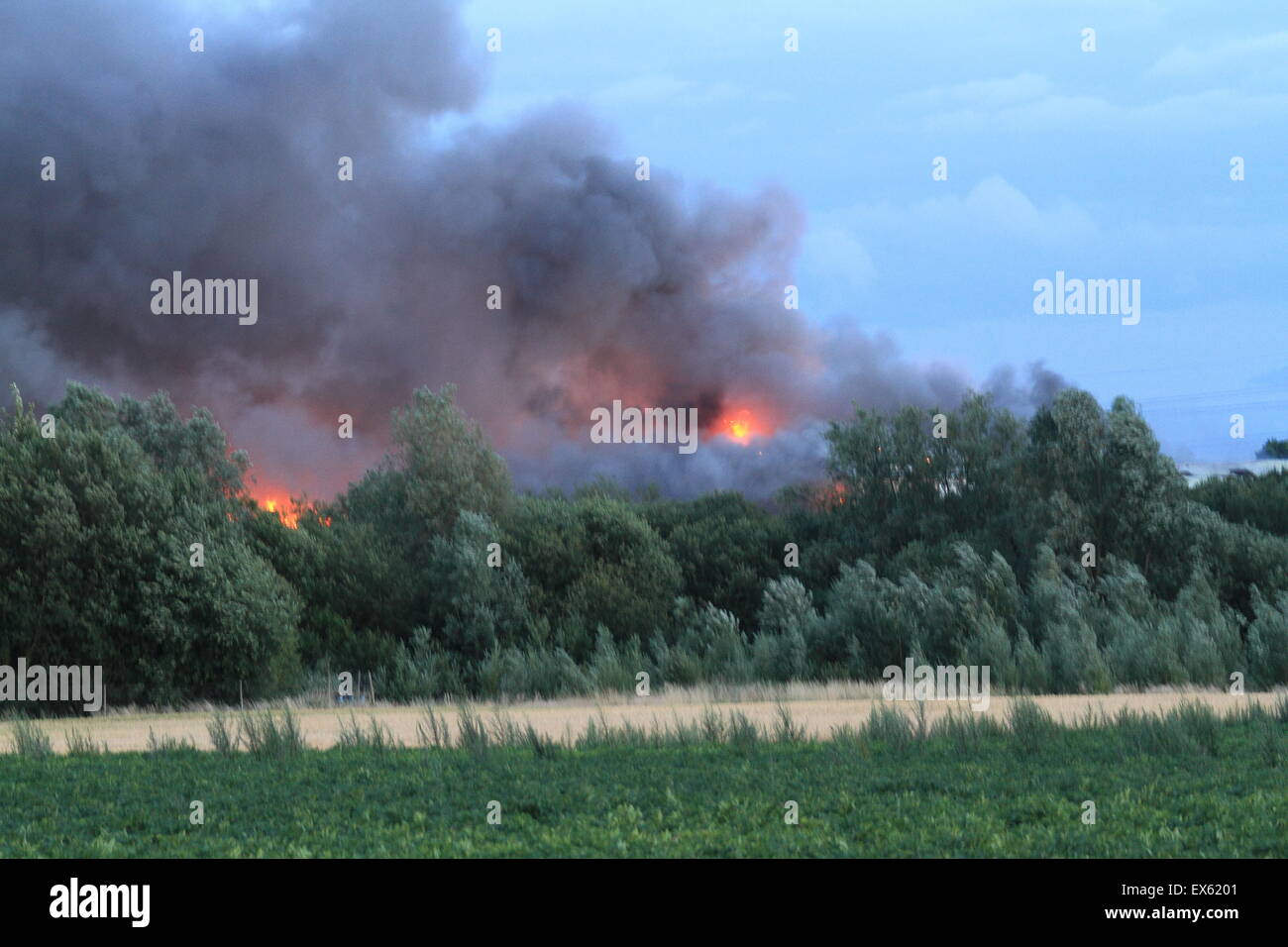 Rainham, Londres, Reino Unido. Martes, 7 de julio de 2015. Más de 80 bomberos abordar blaze en un astillero de palets en Rainham. 12 bomberos de tres bomberos fueron llamados a la escena alrededor de las 8:00pm el martes por la noche. Kent y Essex, bomberos y servicios de rescate fueron llamados para ayudar a afrontar la Brigada de Bomberos de Londres Blaze. Una pila de palets y un número de edificios están implicados en el incendio. Formulario de humo el incendio podría ser visto por millas alrededor de vientos atizado las llamas. No hay informes de lesiones y la causa de la llamarada no se conoce todavía. Foto de stock