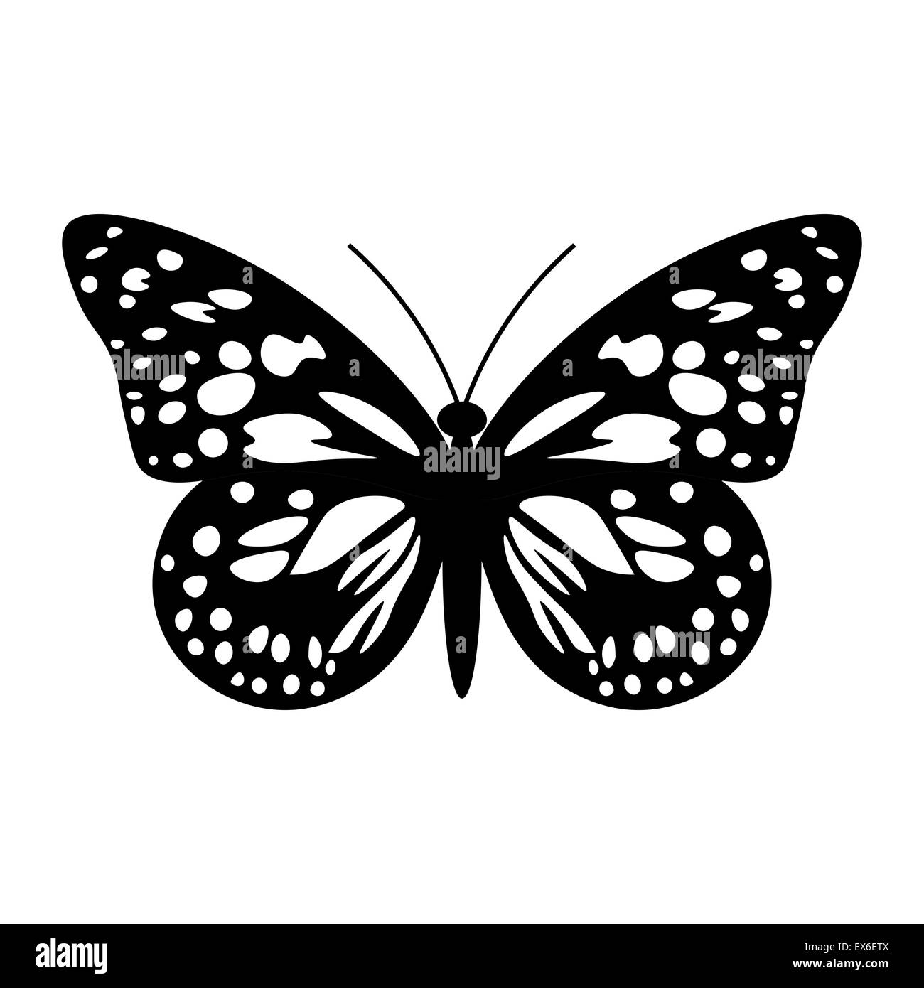 Hermosas Mariposas En Blanco Y Negro Aislado En Blanco Fotografía De Stock Alamy 4534