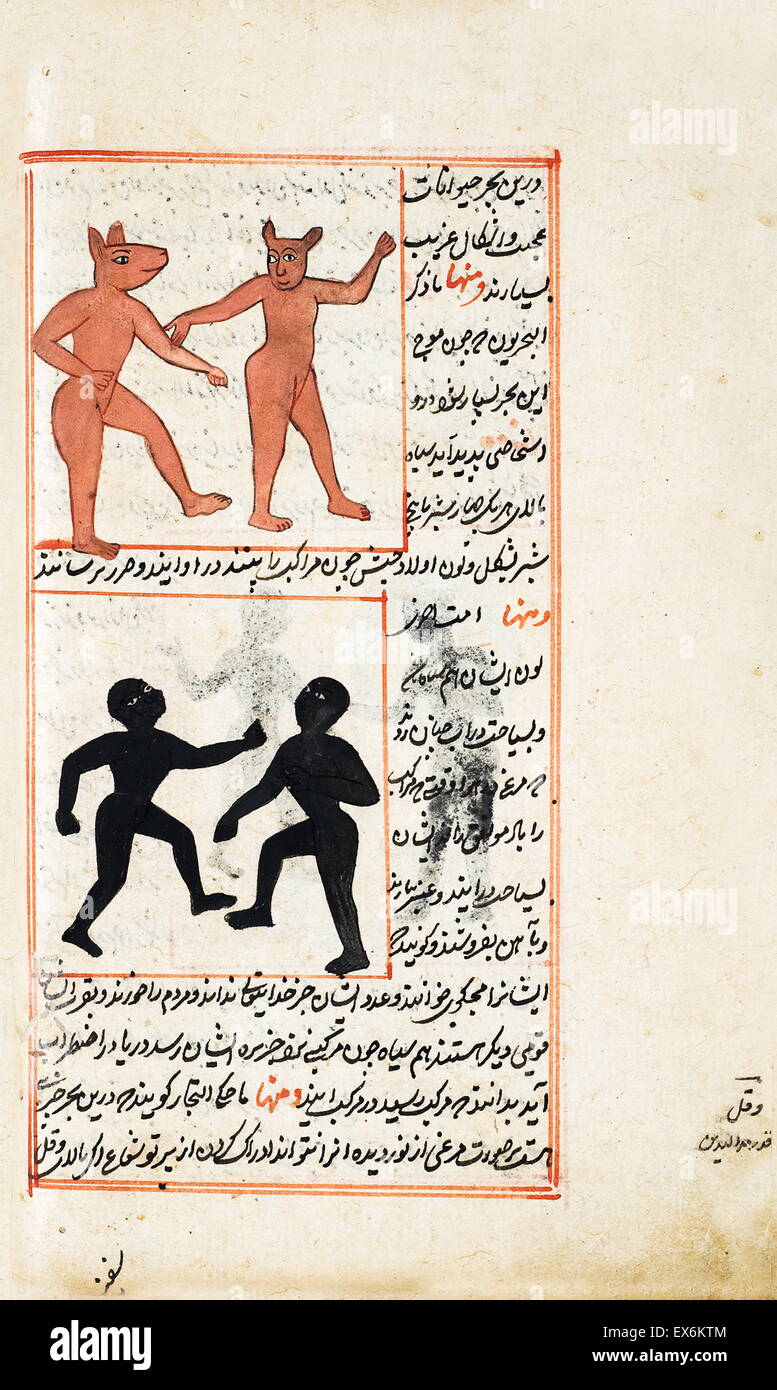 Ilustración representando criaturas de la isla de Zaneh, desde 1538, la edición de 'Kit?b-I ?Aj?y?b al-makhl?q?t va ghar??ib al-mawj?d?t'. (Maravillas de las cosas creadas y milagroso aspectos de cosas existentes) del siglo XII, islámica, libro científico persa Foto de stock