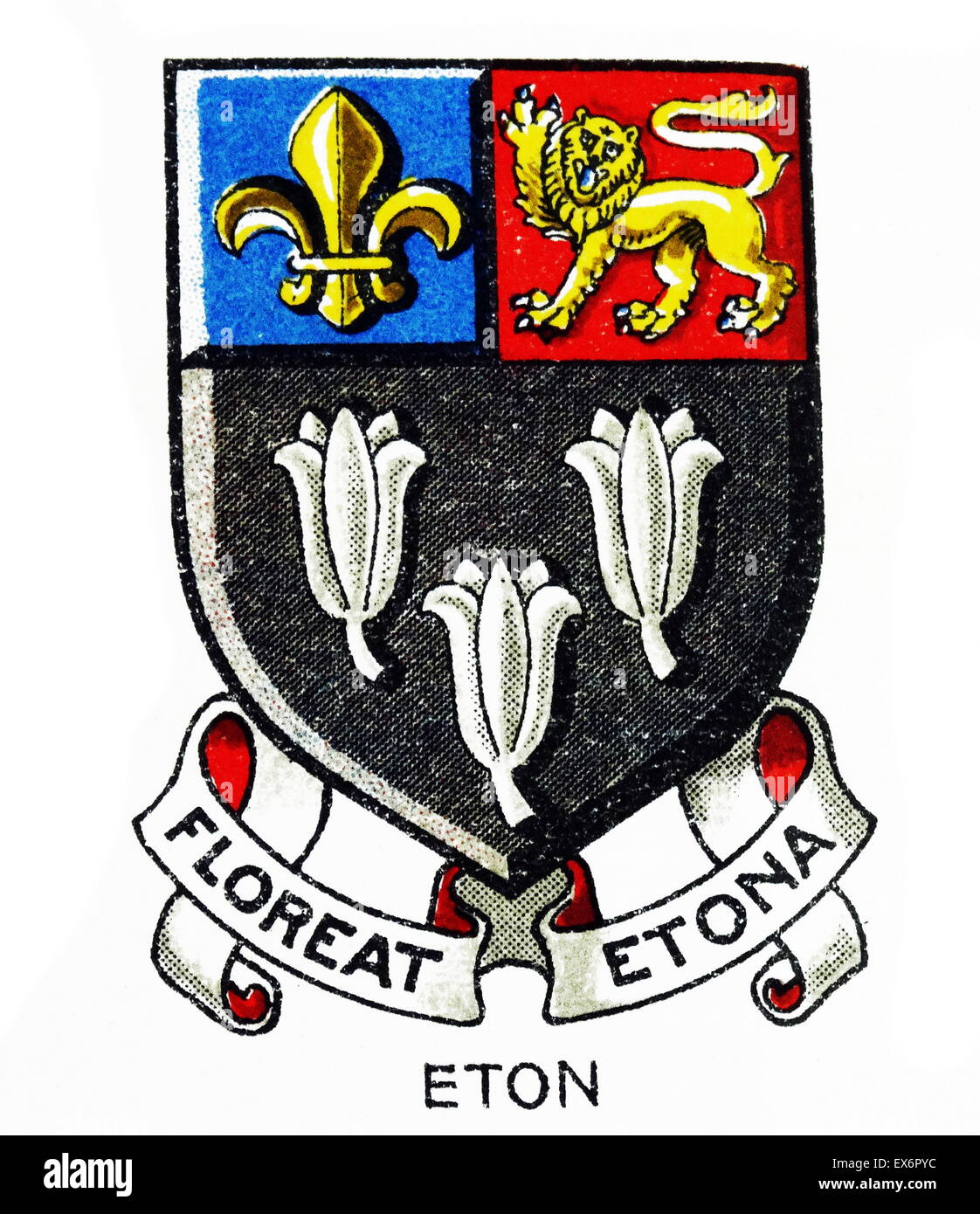 Emblema de la universidad de Eton, informalmente, a menudo denominado simplemente Eton Inglés, un internado independiente situado en Eton, Berkshire, cerca de Windsor. La escuela fue fundada por Enrique VI de Inglaterra en 1440. Foto de stock