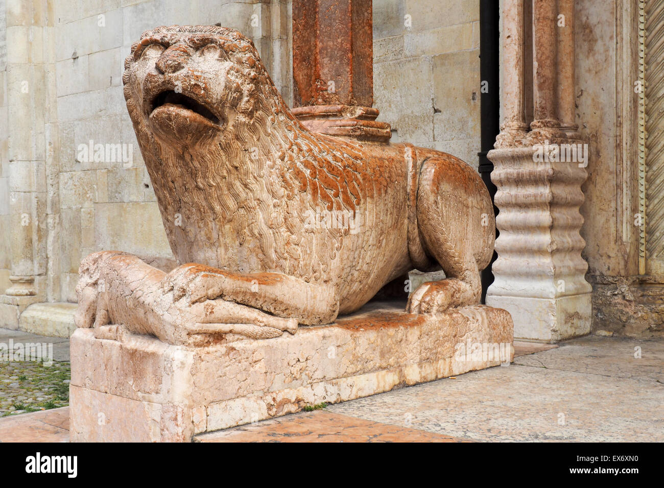 Un león de mármol rosa que custodiaban la Porta Regia ('Puerta Real') de la  Catedral de Módena Fotografía de stock - Alamy
