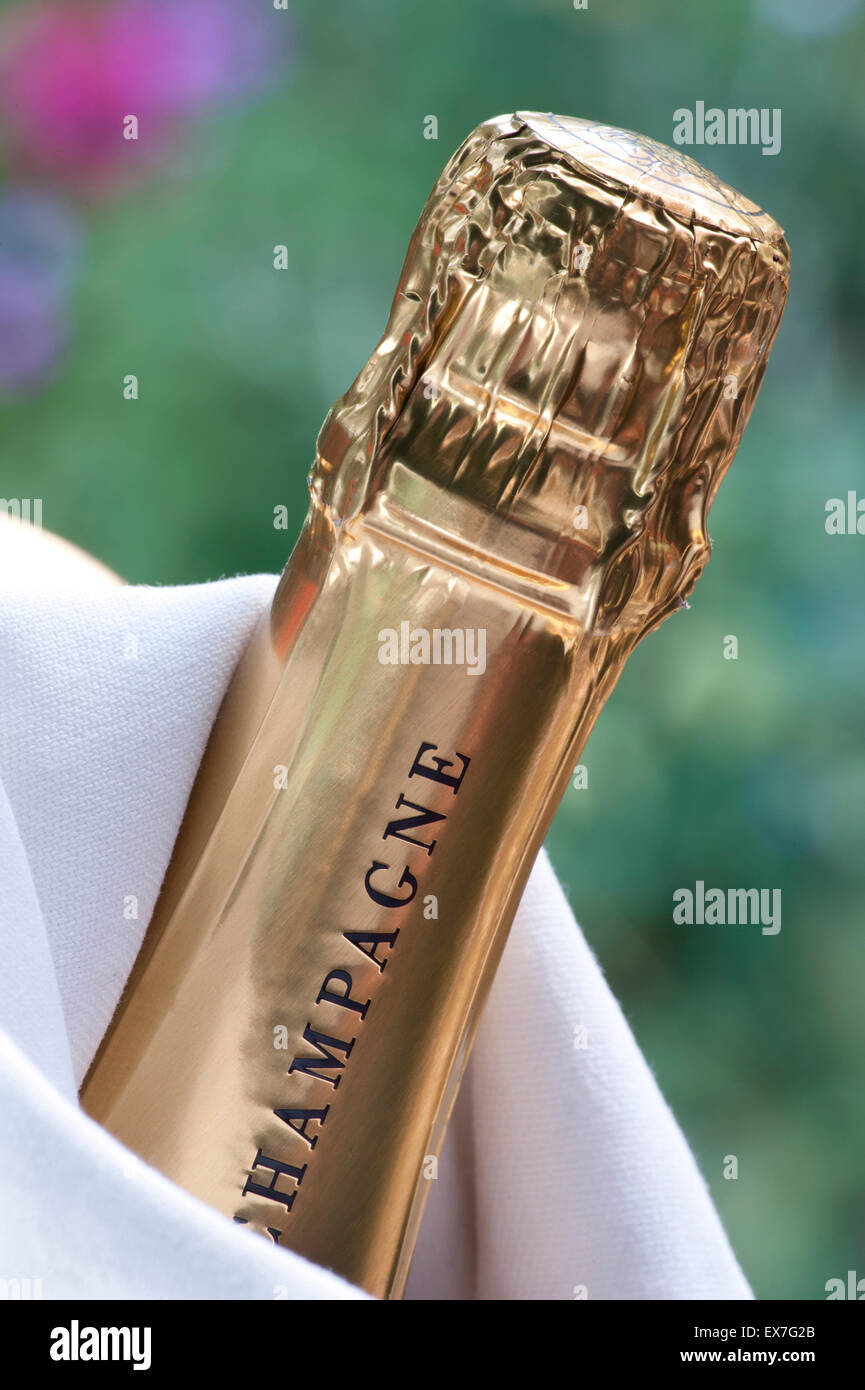 Cerrar vista en botella de champán en el enfriador de vino en la terraza jardín de verano Situación de lujo Foto de stock