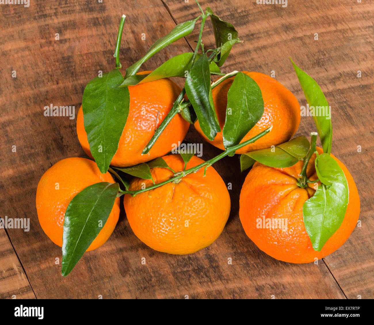 Tangelos madura con frescas hojas verdes sobre la mesa de madera Foto de stock