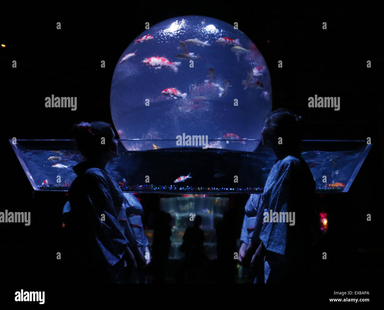 Tokio. El 9 de julio de 2015. Los visitantes pueden ver peces de colores nadando en tanques de agua de prensa durante el avance de una exposición en Tokio, Japón, 9 de julio de 2015. Crédito: Xinhua/Alamy Live News Foto de stock