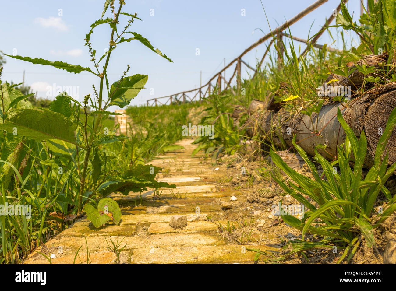 Muelle De Ladrillo Entre Plantas Y Malas Hierbas En La Campiña Italiana 