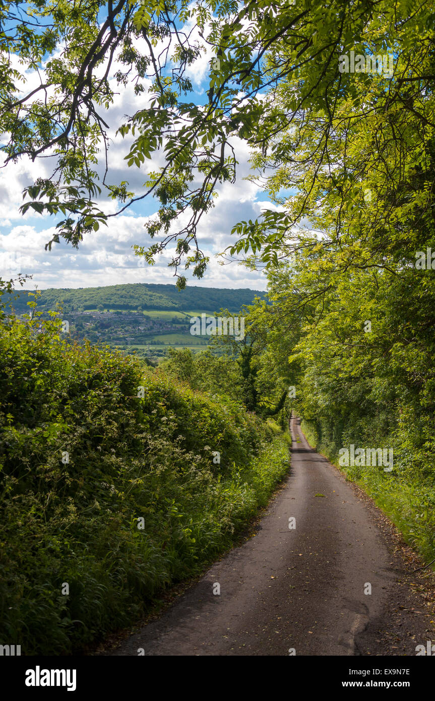 Campo lane road rural en Somerset, Inglaterra, Reino Unido. Foto de stock