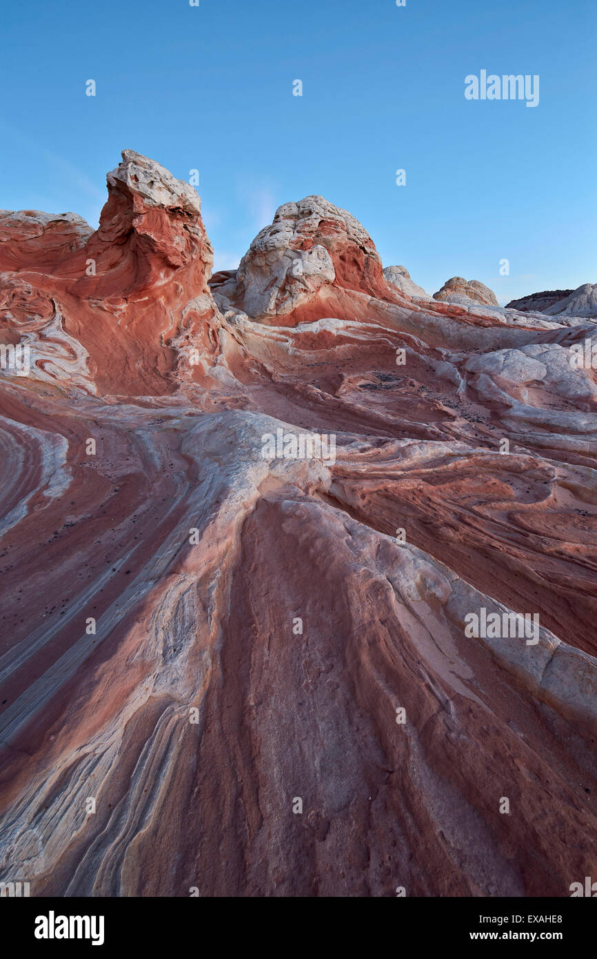 Formaciones de arenisca roja y blanca, Blanco Pocket, Vermilion Cliffs National Monument, Arizona, Estados Unidos de América Foto de stock