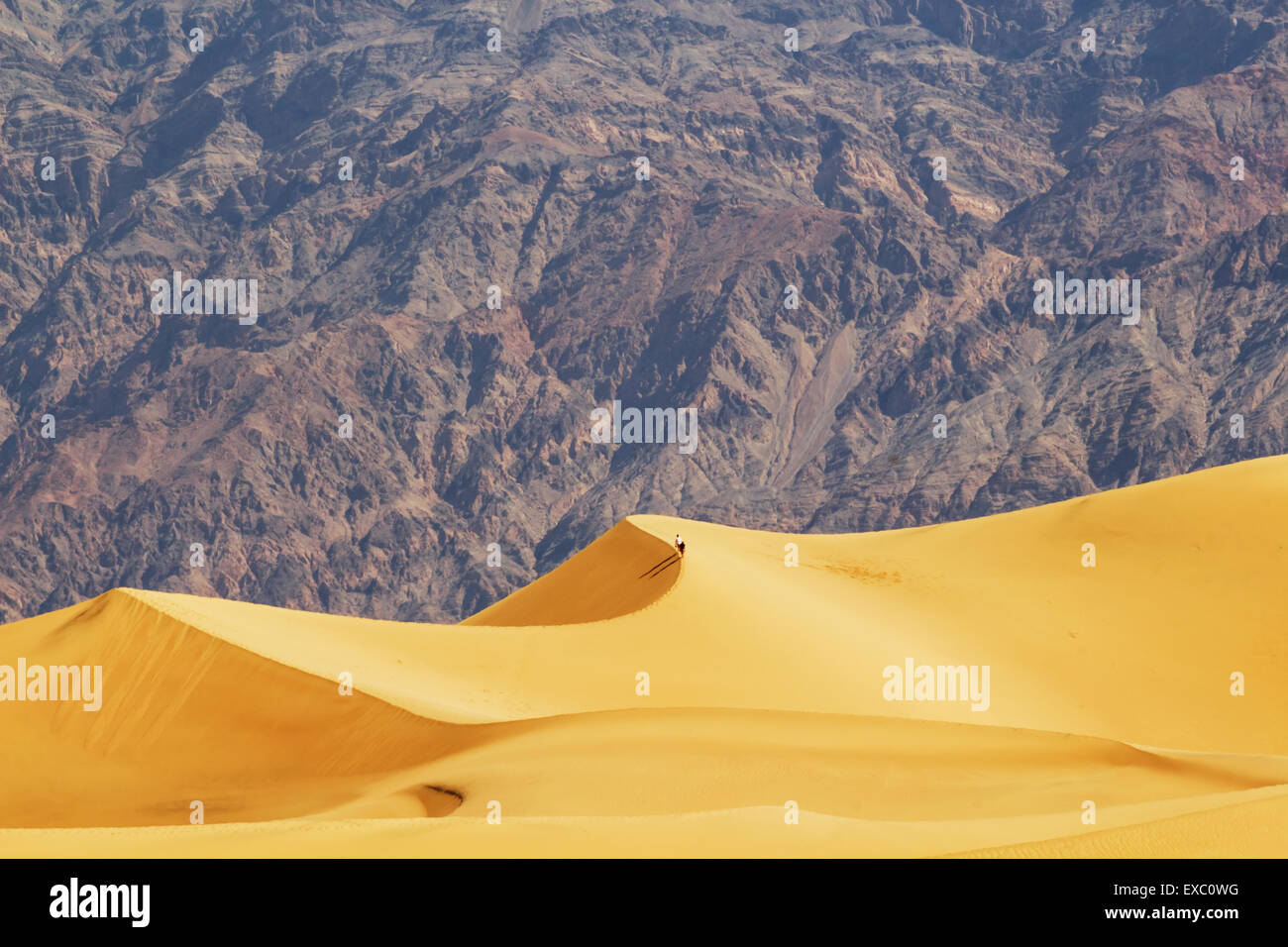 El Mesquite dunas de arena, el Valle de la Muerte, California, EE.UU. Foto de stock