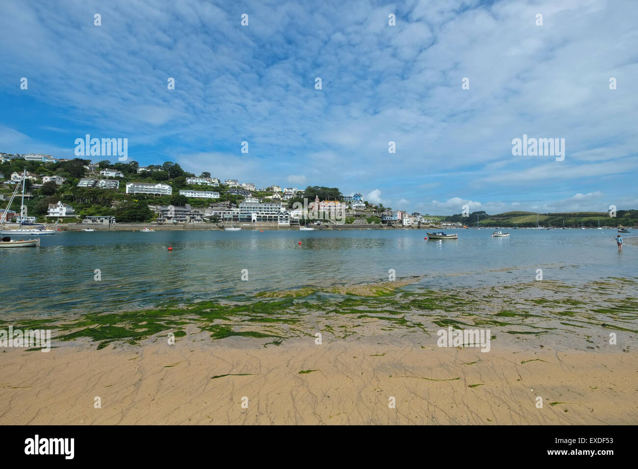 Salcombe, Devon, Reino Unido. Vista de la playa de East Portlemouth en Salcombe Foto de stock