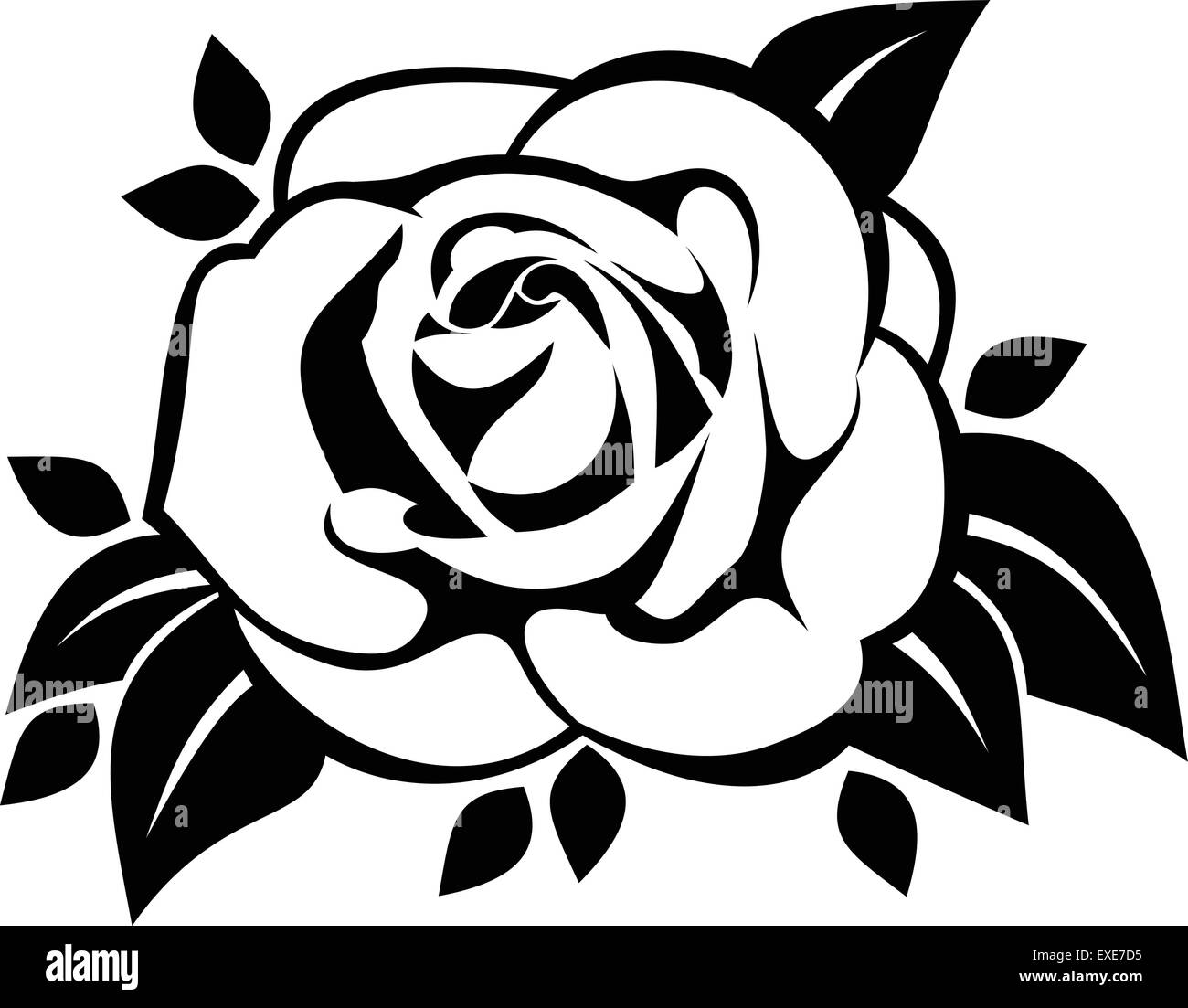 Flor negra Imágenes de stock en blanco y negro - Alamy