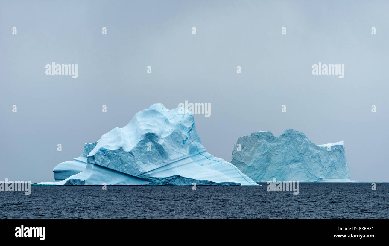 Los icebergs flotando en el agua, Scoresbysund, Groenlandia Oriental y Groenlandia Foto de stock