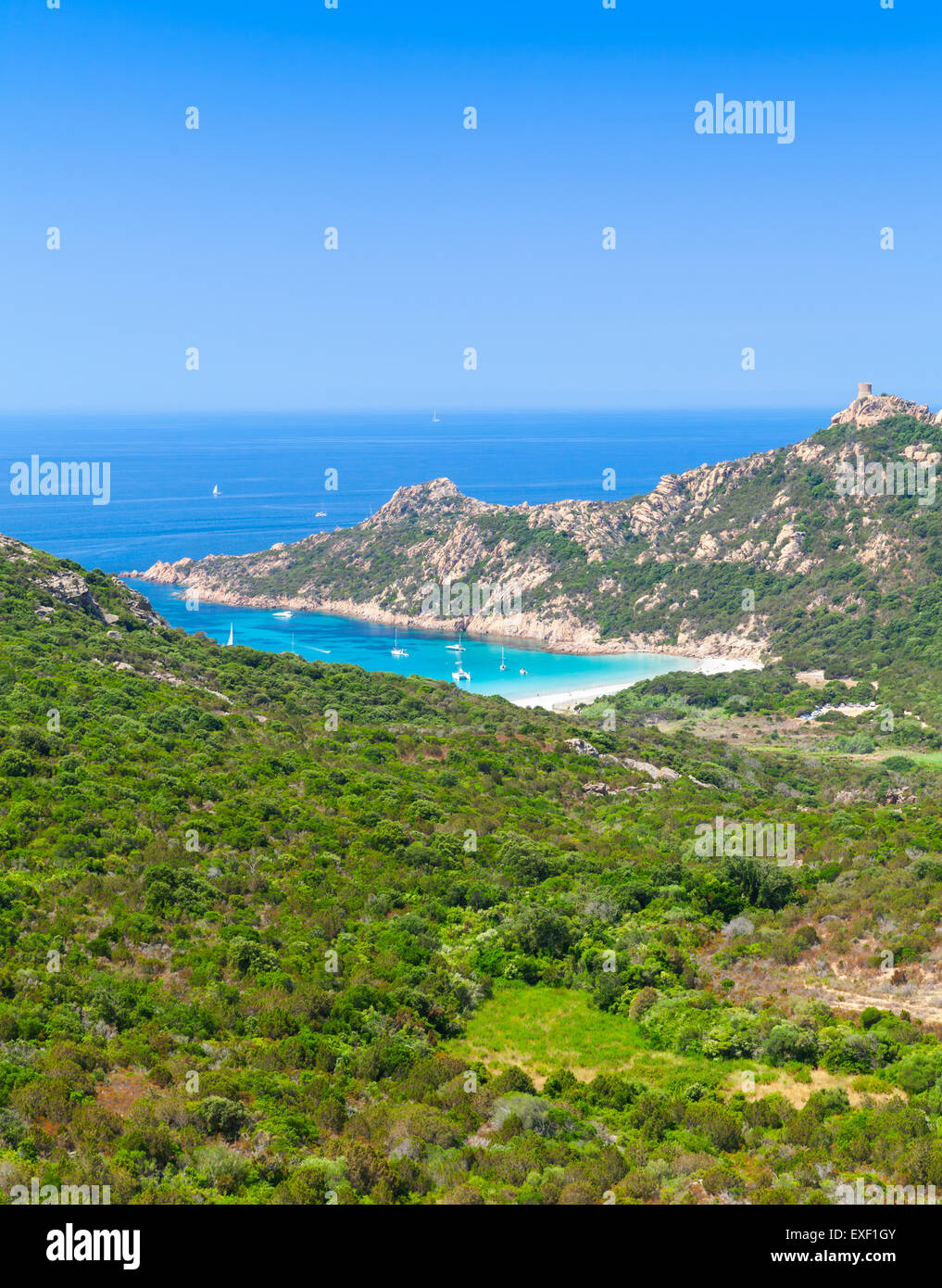 La isla de Córcega, vertical paisaje costero con montañas y la playa. La costa del Mar Mediterráneo, Francia Foto de stock