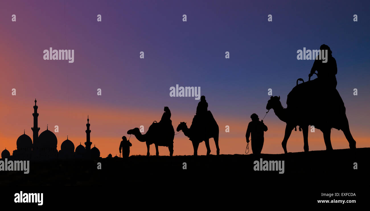 Caravana de camellos que llegan a Mezquita en Abu Dhabi, Emiratos Arabes Unidos Foto de stock