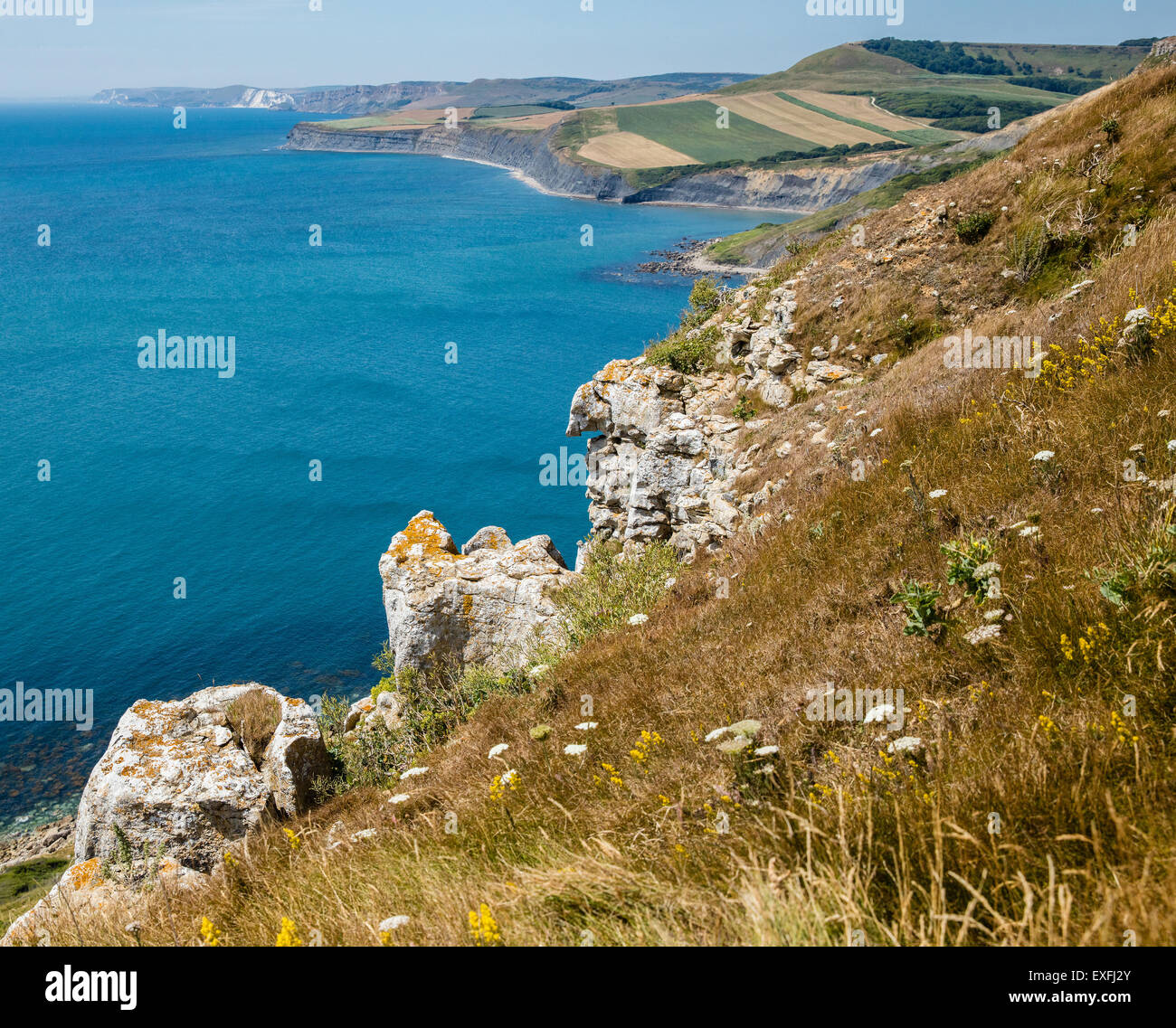 Mirando hacia la piscina y Swyre Chapman Jefe de Emmett's Hill en San Aldhelm's head en la costa de Dorset UK Foto de stock