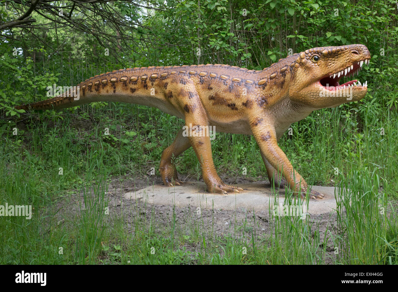 Ornithosuchus extinguidas o pájaro Dinosaurier Archsaur cocodrilo Parque Triásico Alemania Foto de stock