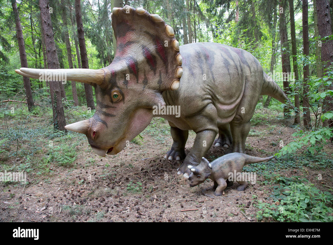 Dinosaurio de tres cuernos fotografías e imágenes de alta resolución - Alamy