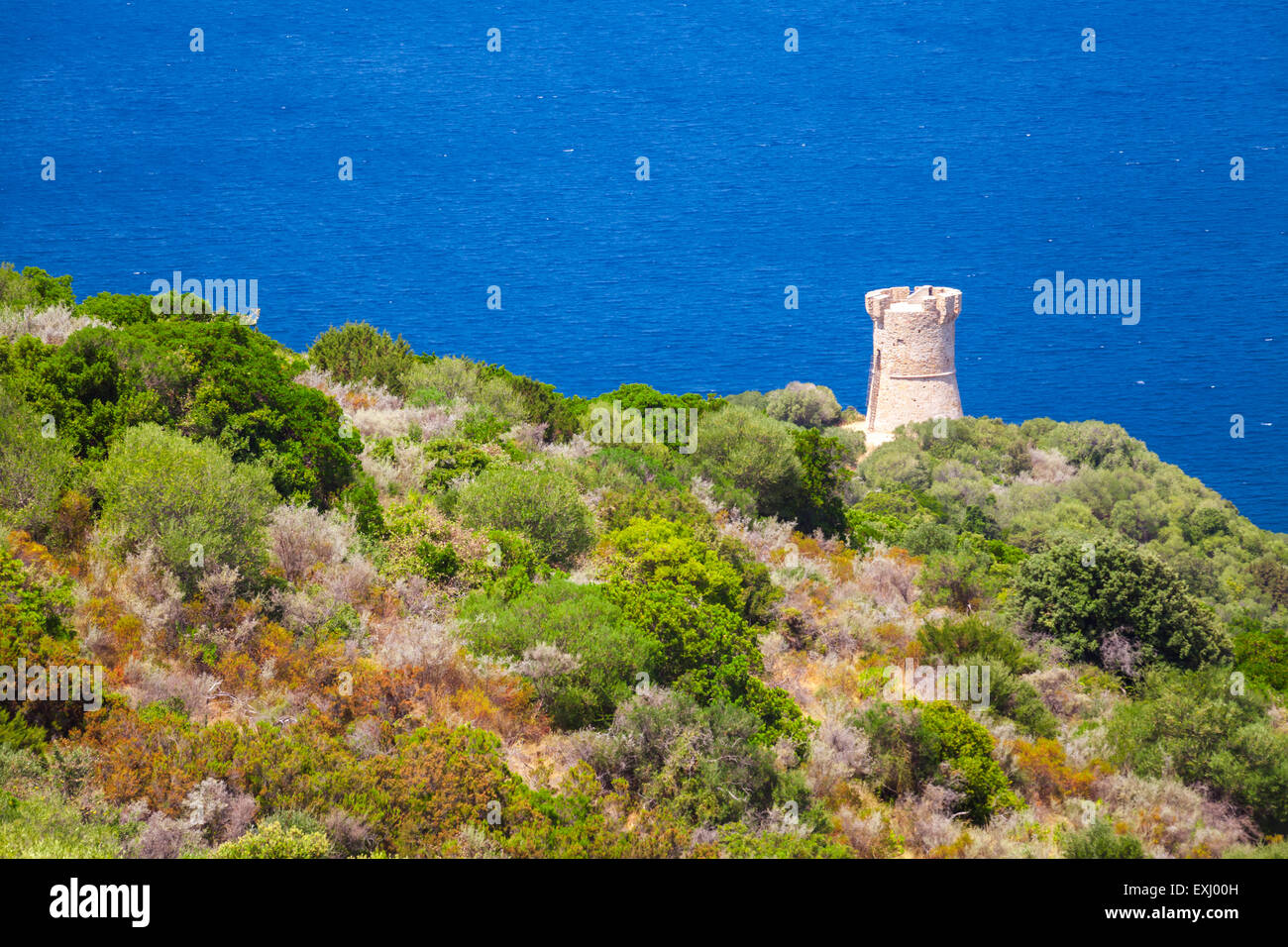 El paisaje de la bahía de Cupabia con antiguos genoveses Campanella torre, Córcega, Francia Foto de stock