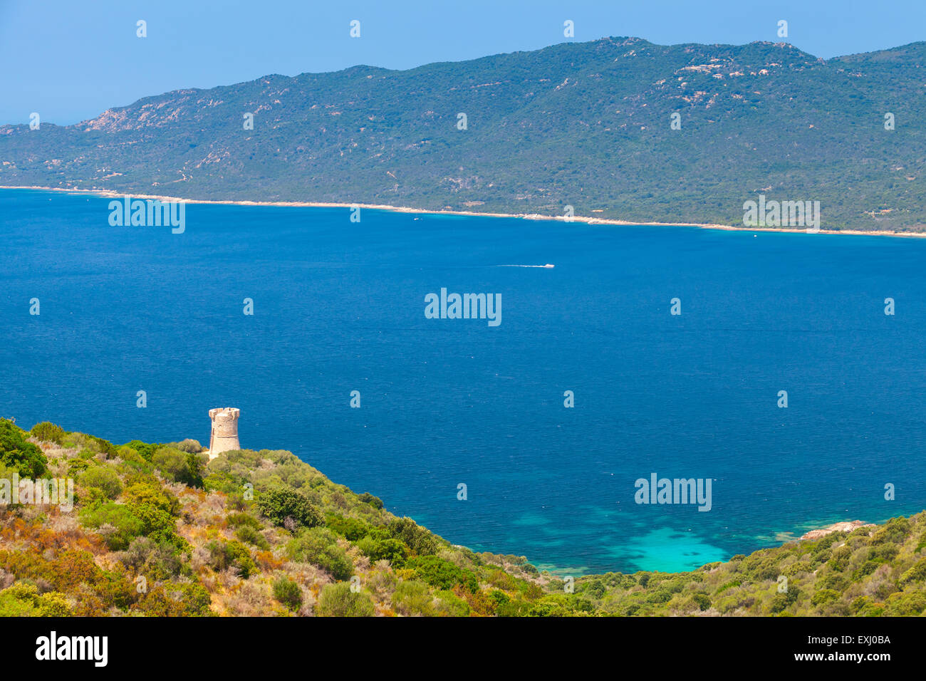 El paisaje de la bahía de Cupabia con antiguos genoveses Campanella torre de costa, Córcega, Francia Foto de stock