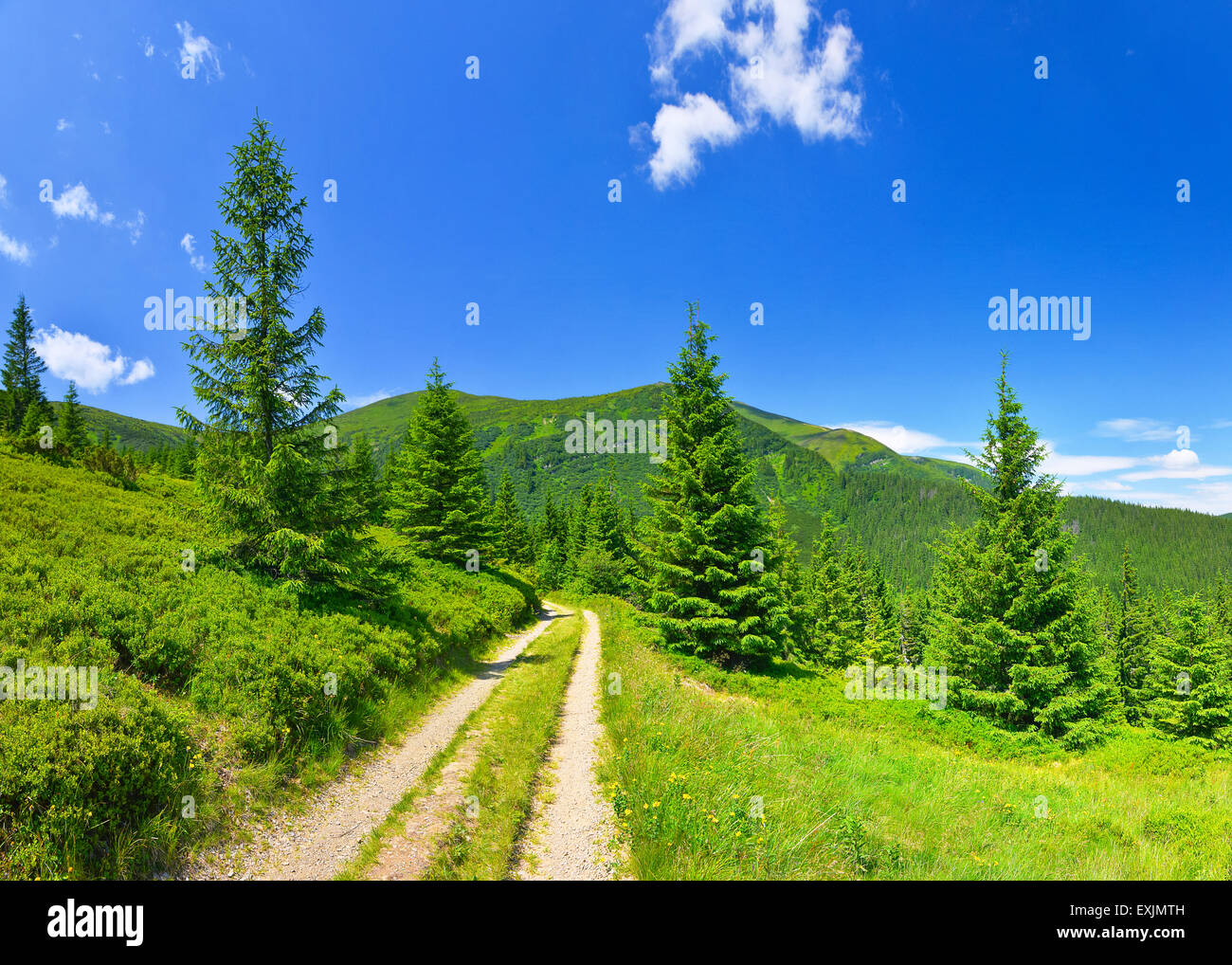 Country Road y prados alpinos en verano Highland. Foto de stock