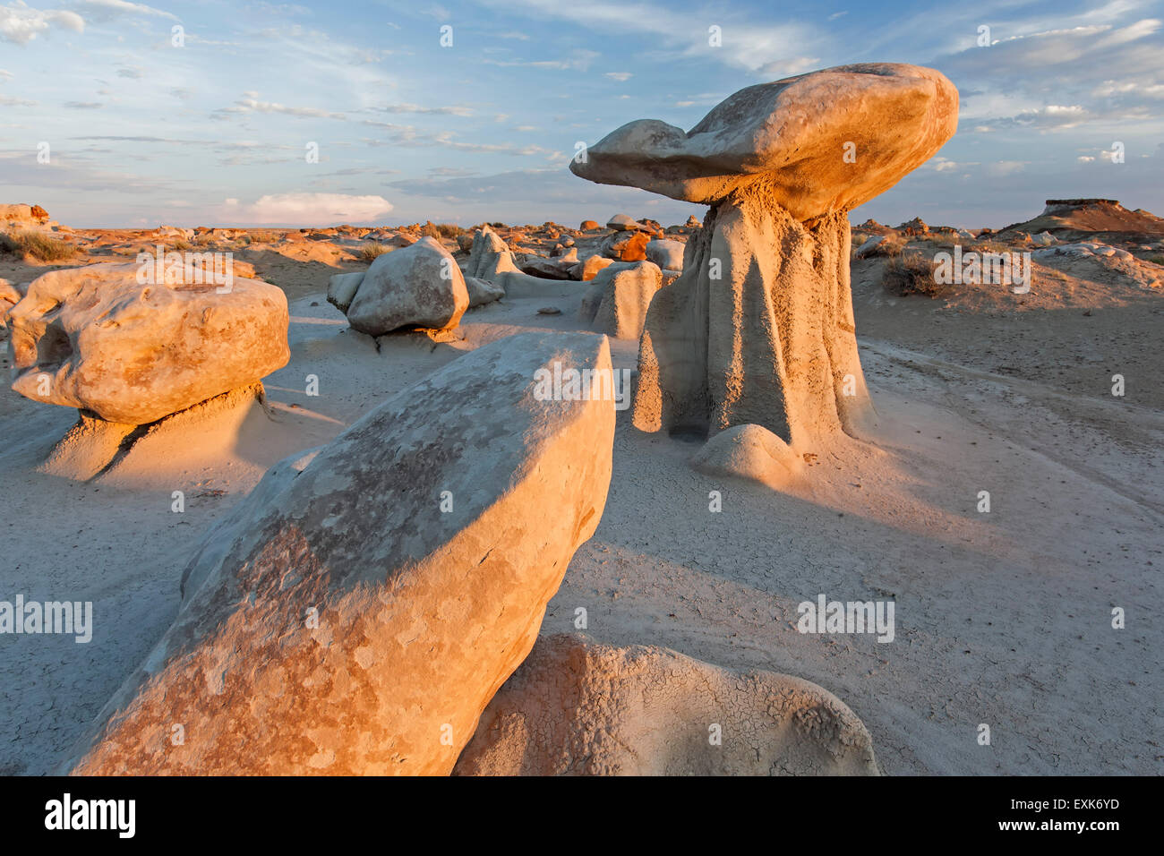 'Mushroom' rock y rocas, Bisti zona silvestre, Nuevo México, EE.UU. Foto de stock