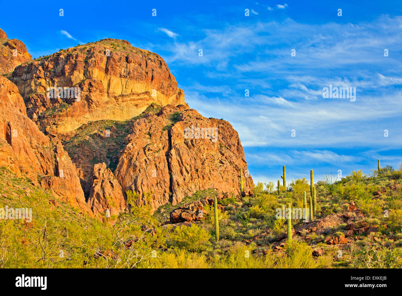 Ajo Range Mountains, Organ Pipe National Monument, Arizona, EE.UU. Foto de stock