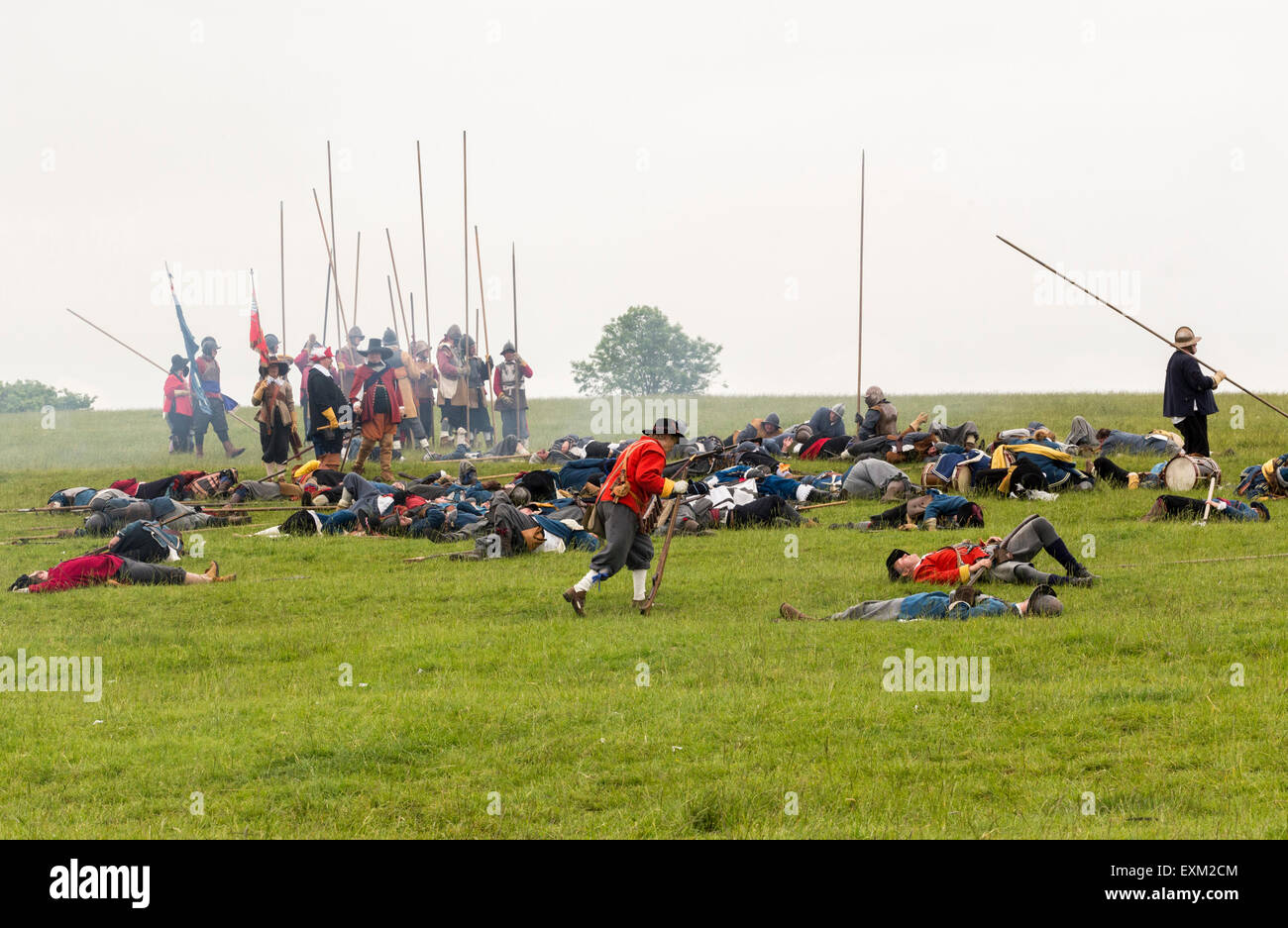 Batalla de Naseby Repromulgación Fotografía de stock Alamy