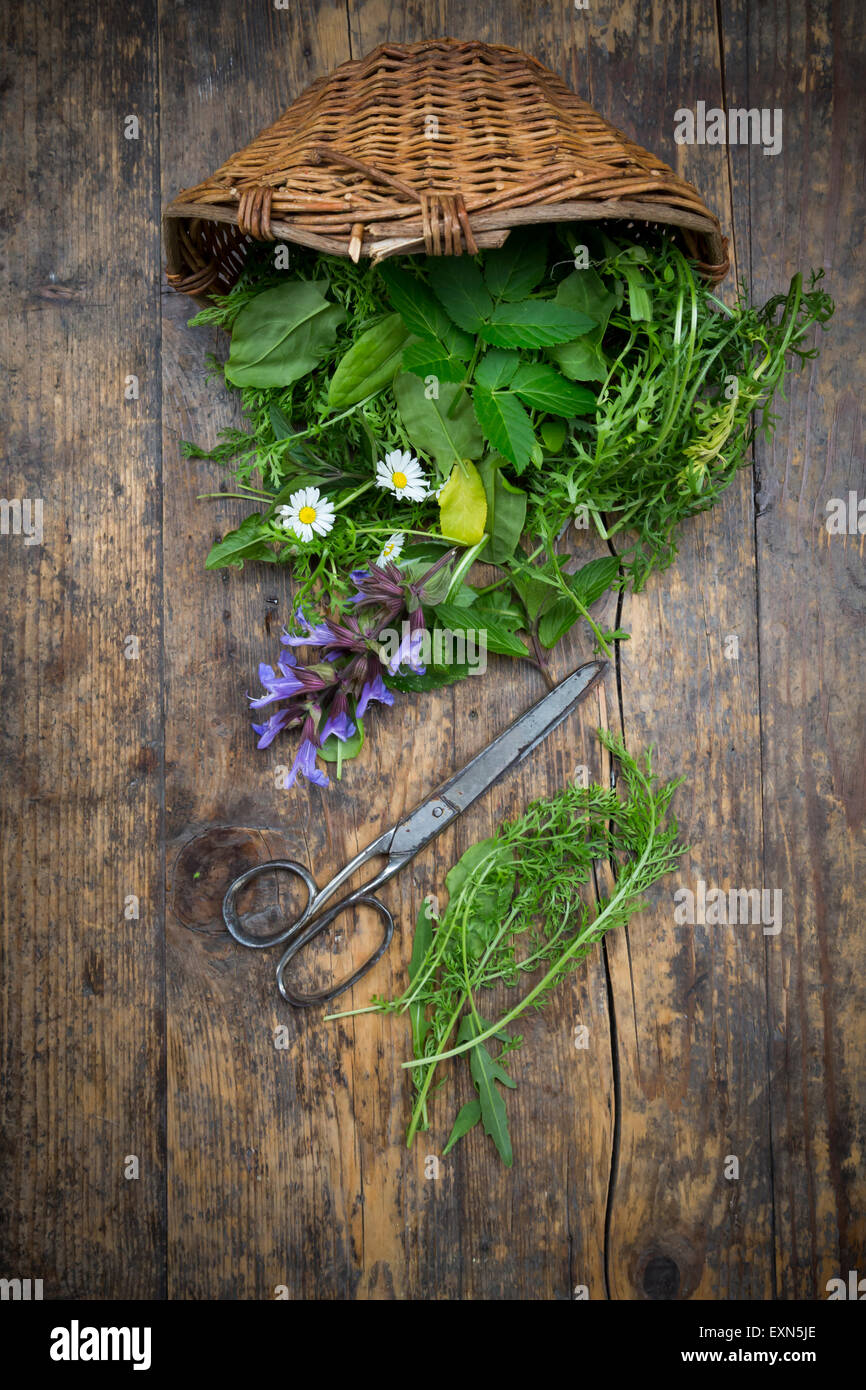 Wiccurbasket de diferentes hierbas silvestres y flores comestibles Foto de stock
