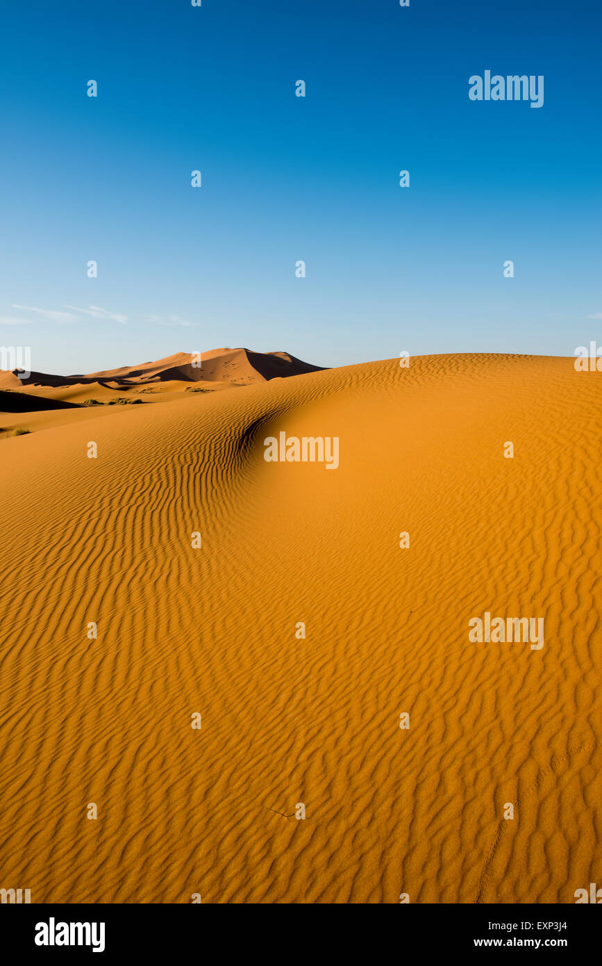 Las dunas de arena en la luz de la mañana, Merzouga, Región Meknès-Tafilalet, Marruecos Foto de stock