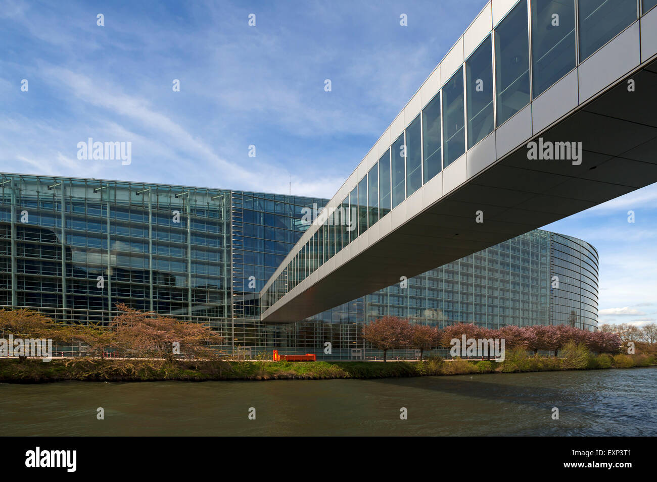 El Parlamento Europeo con el paso de los enfermos, Eurodistrict, Estrasburgo, Alsacia, Francia Foto de stock