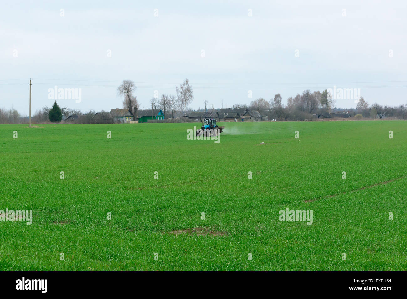 El tractor azul con un spray procesa un campo verde para una buena cosecha Foto de stock