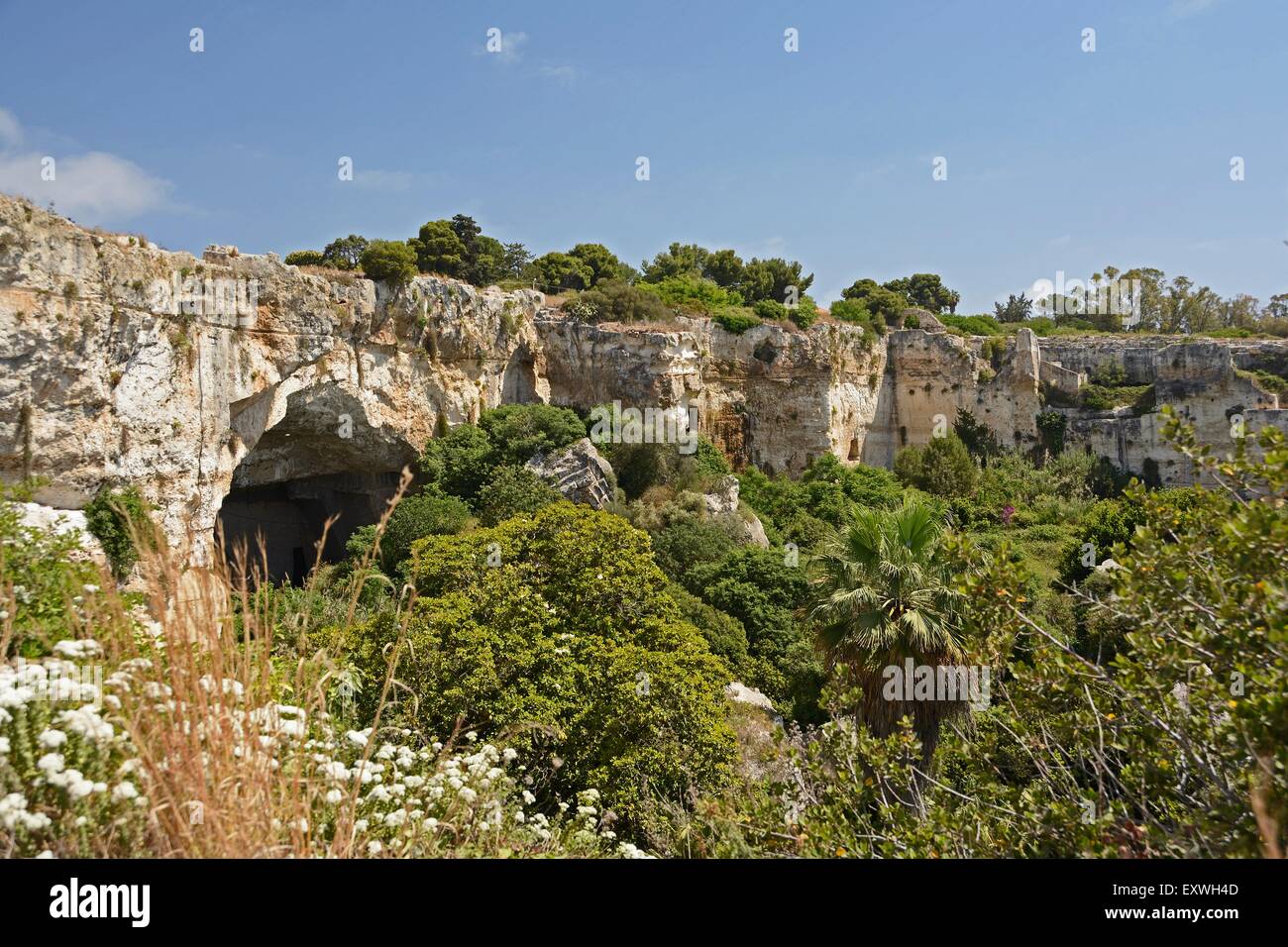 Latomia del Paradiso, Parco Archeologico della llamada Neapoli, Siracusa, Sicilia, Italia, Europa Foto de stock