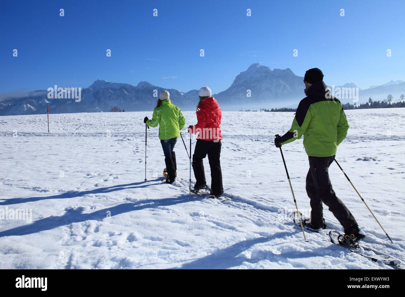 Tres personas con zapatos de nieve, Tegelberg, Alpes Ammergau, Allgaeu, Baviera, Alemania, Europa Foto de stock