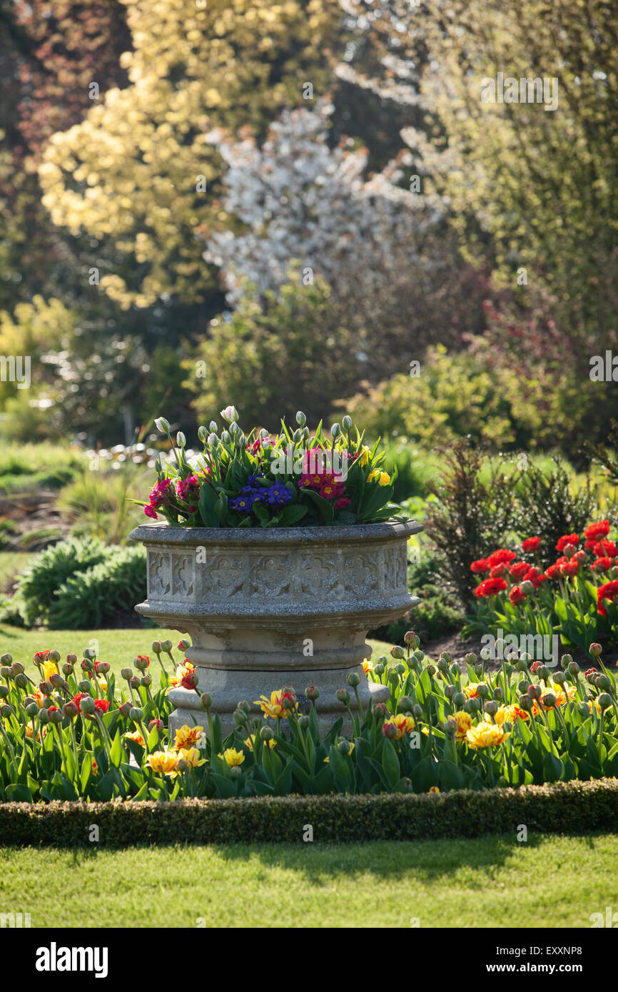 Jardines Brightwater, Saxby, Lincolnshire, Reino Unido. Primavera, abril de 2015. Foto de stock