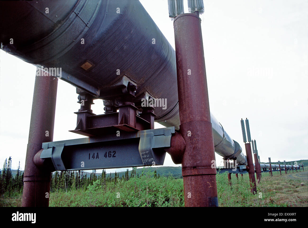 Canalización Tranalaska en Dalton Highway,Alaska Foto de stock