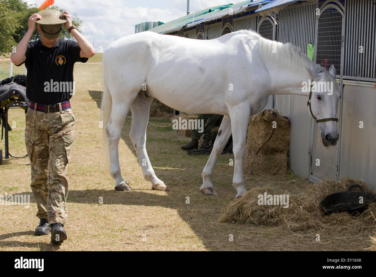 Caballo atado fotografías e imágenes de alta resolución - Página 10 - Alamy