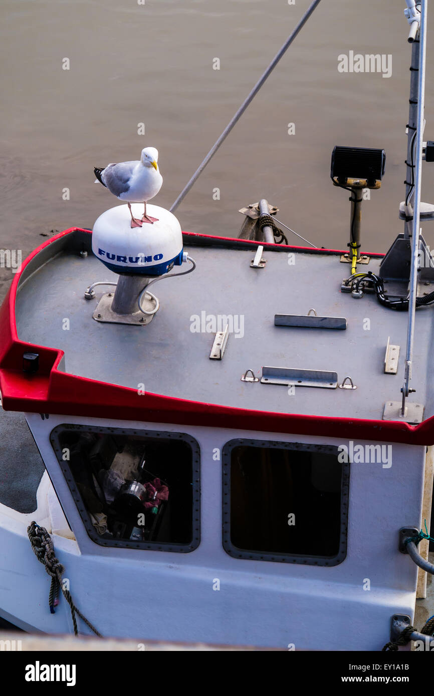 Seagull en un barco en Bridlington harbour Foto de stock
