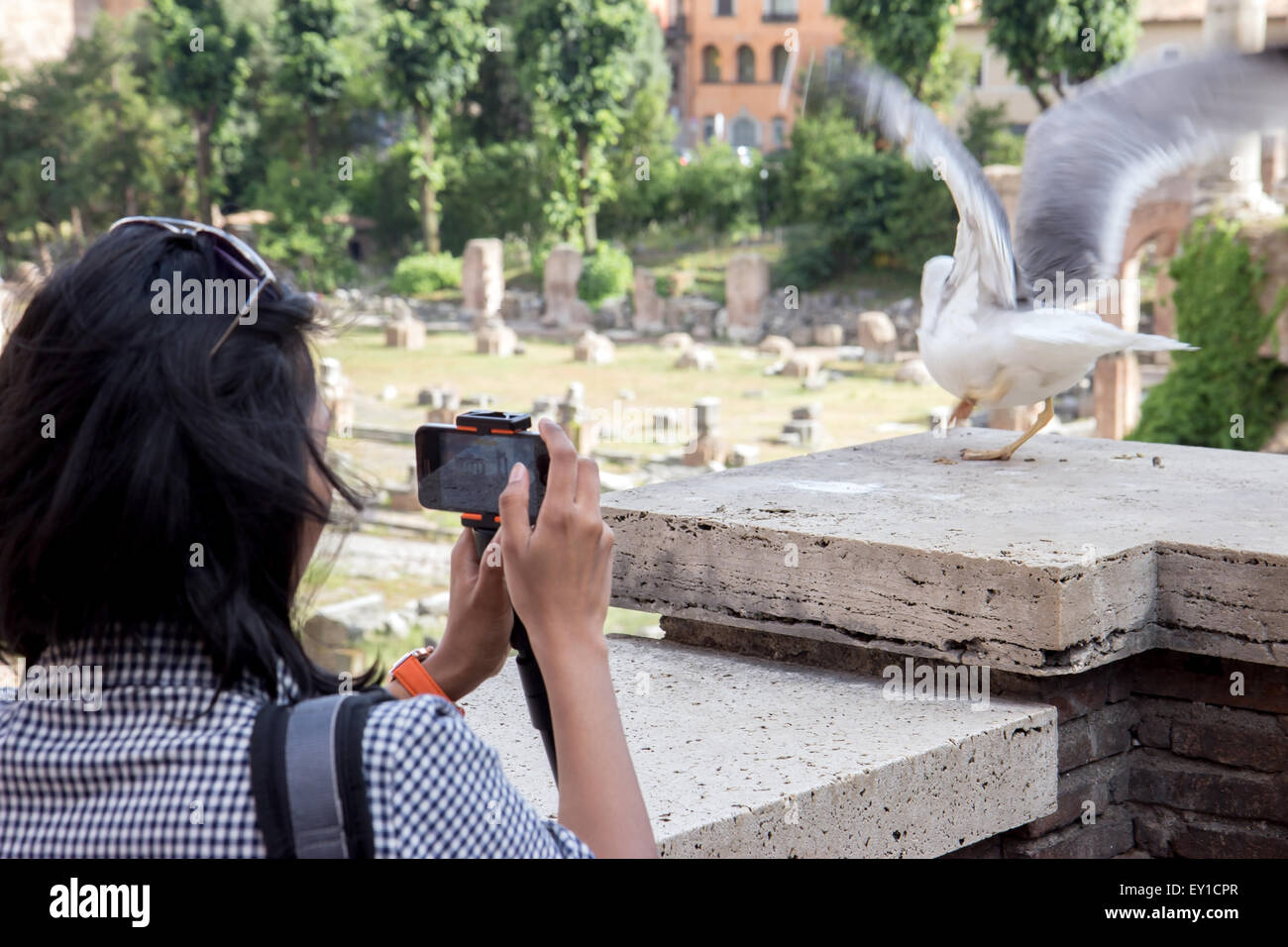Mujer fotografiando gaviotas sobre fondo Foro Romano Foto de stock