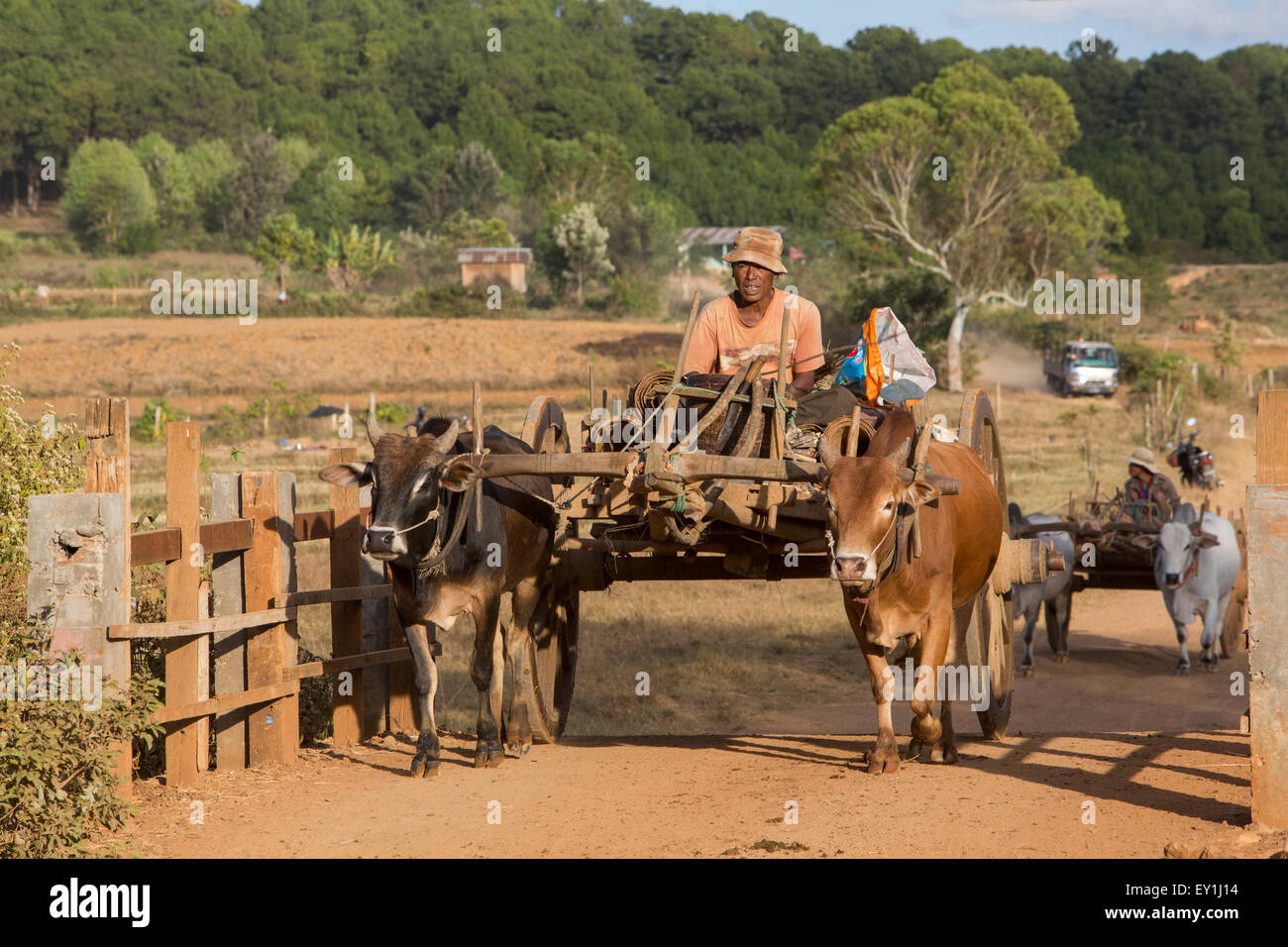 Los rancheros en carretas de bueyes en las Colinas Shan, Myanmar Foto de stock