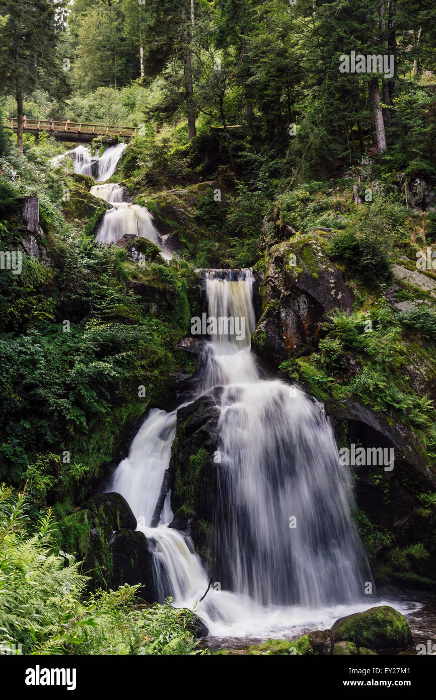Cascadas de Triberg, Selva Negra, Alemania Fotografía de stock - Alamy