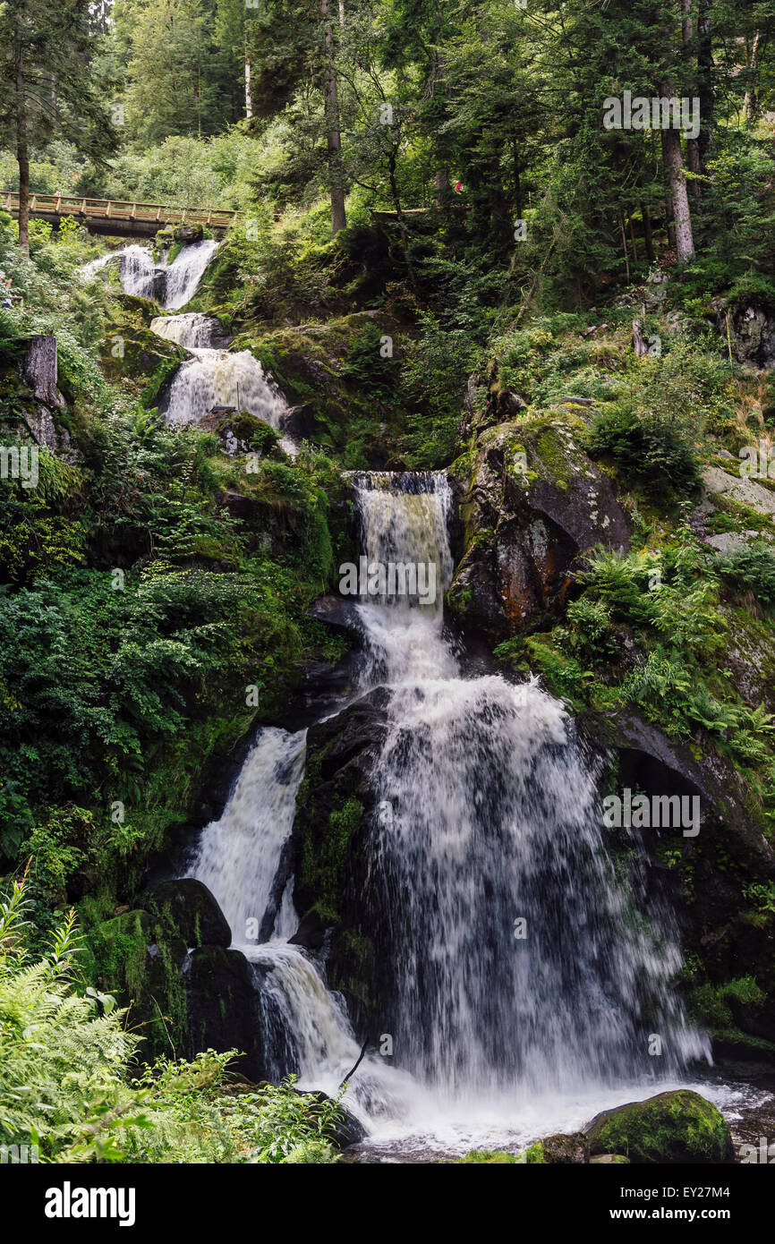 Cascadas de Triberg, Selva Negra, Alemania Fotografía de stock - Alamy