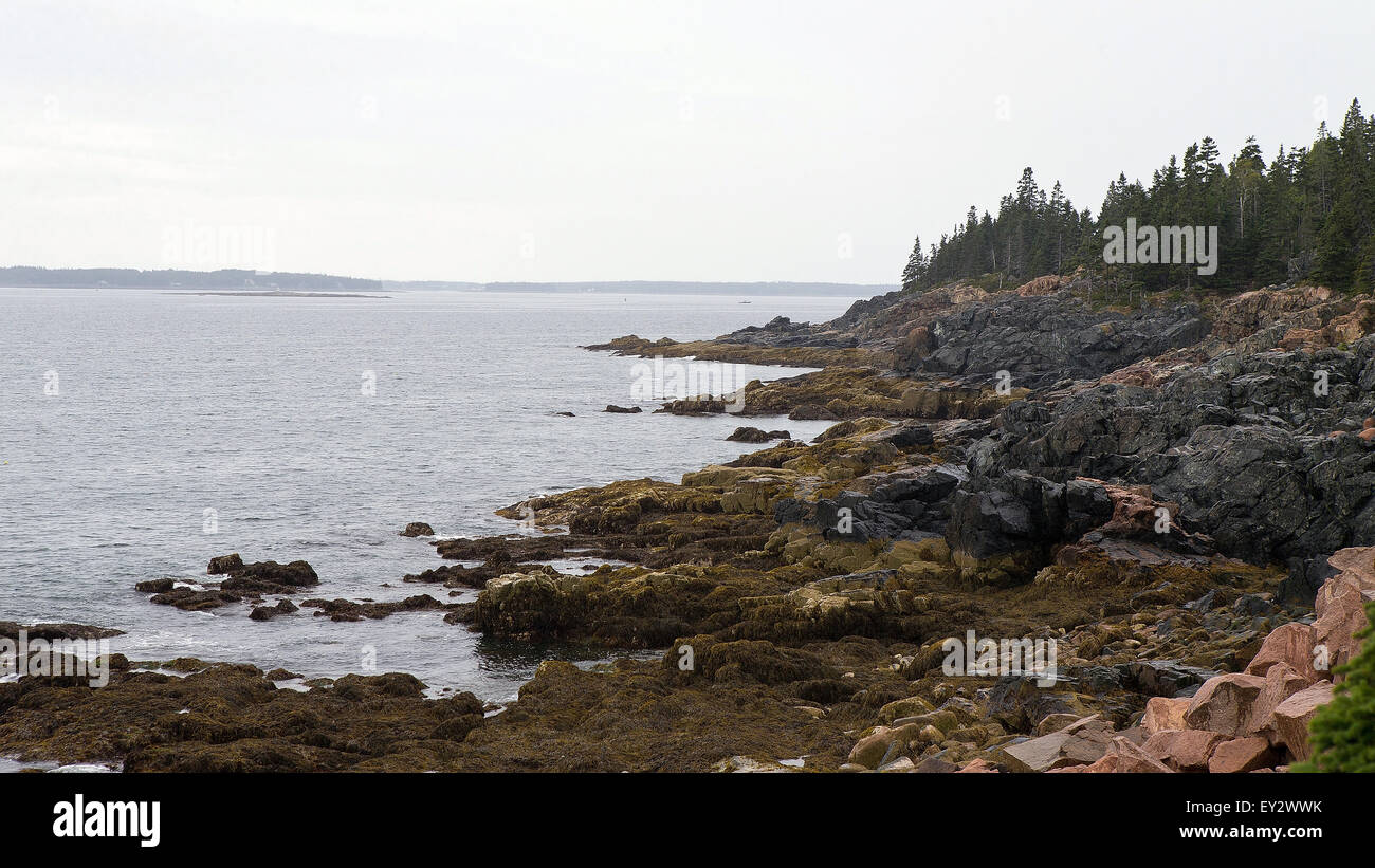 La costa, el Parque Nacional de Acadia, Maine, Estados Unidos de América Foto de stock