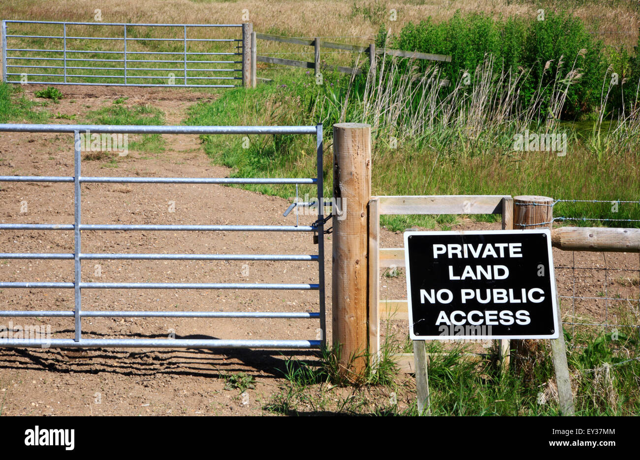 Terrenos privados sin acceso público firmar por praderas de pastoreo en el Norfolk Broads. Foto de stock