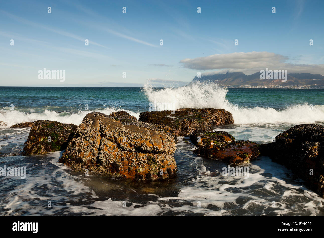 Olas rompiendo sobre las rocas de Kalk Bay, con Simons Town en el fondo y Cape Point en la distancia, Sudáfrica Foto de stock