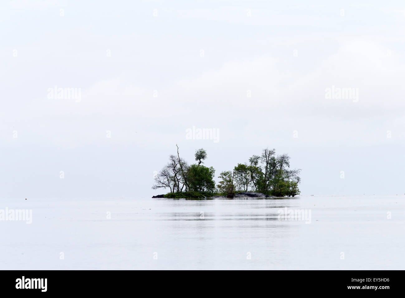 Boca del río en el Mar de la China Meridional Salak - Borneo Sarawak Foto de stock